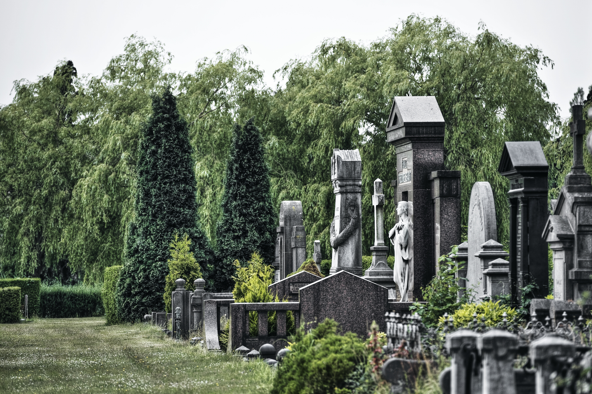 Schoonselhof Park Cemetery