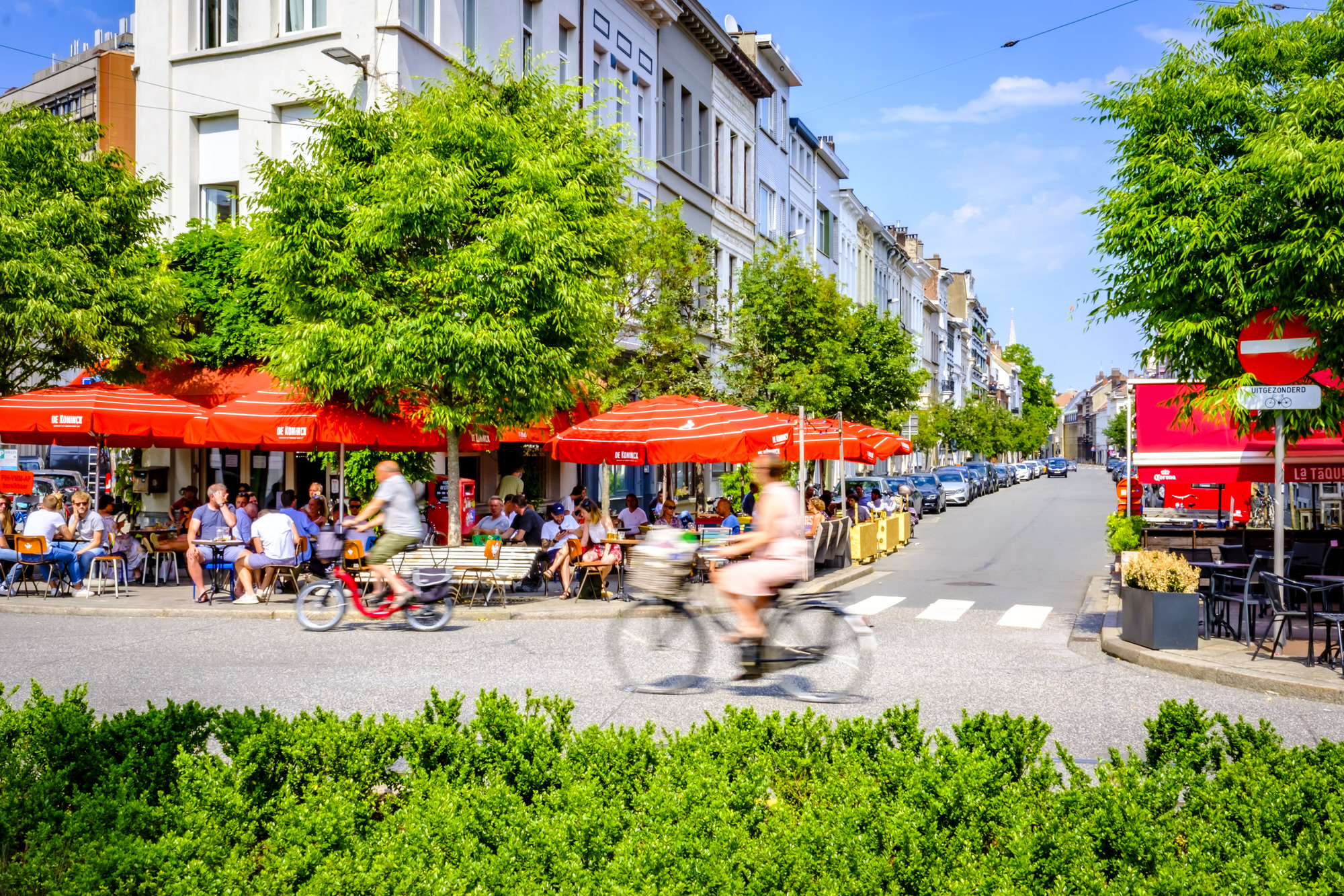 Das angesagte Zuid-Viertel