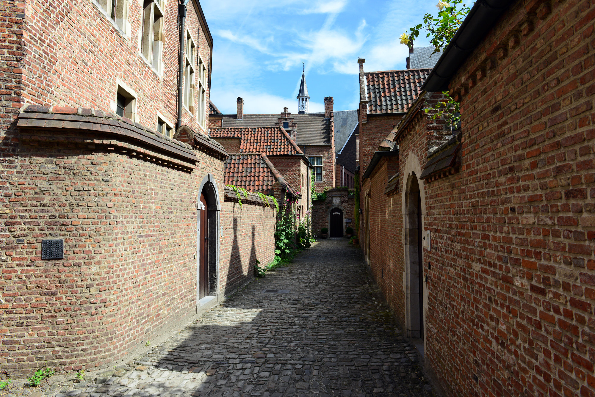 Ossenmarkt en Begijnhof