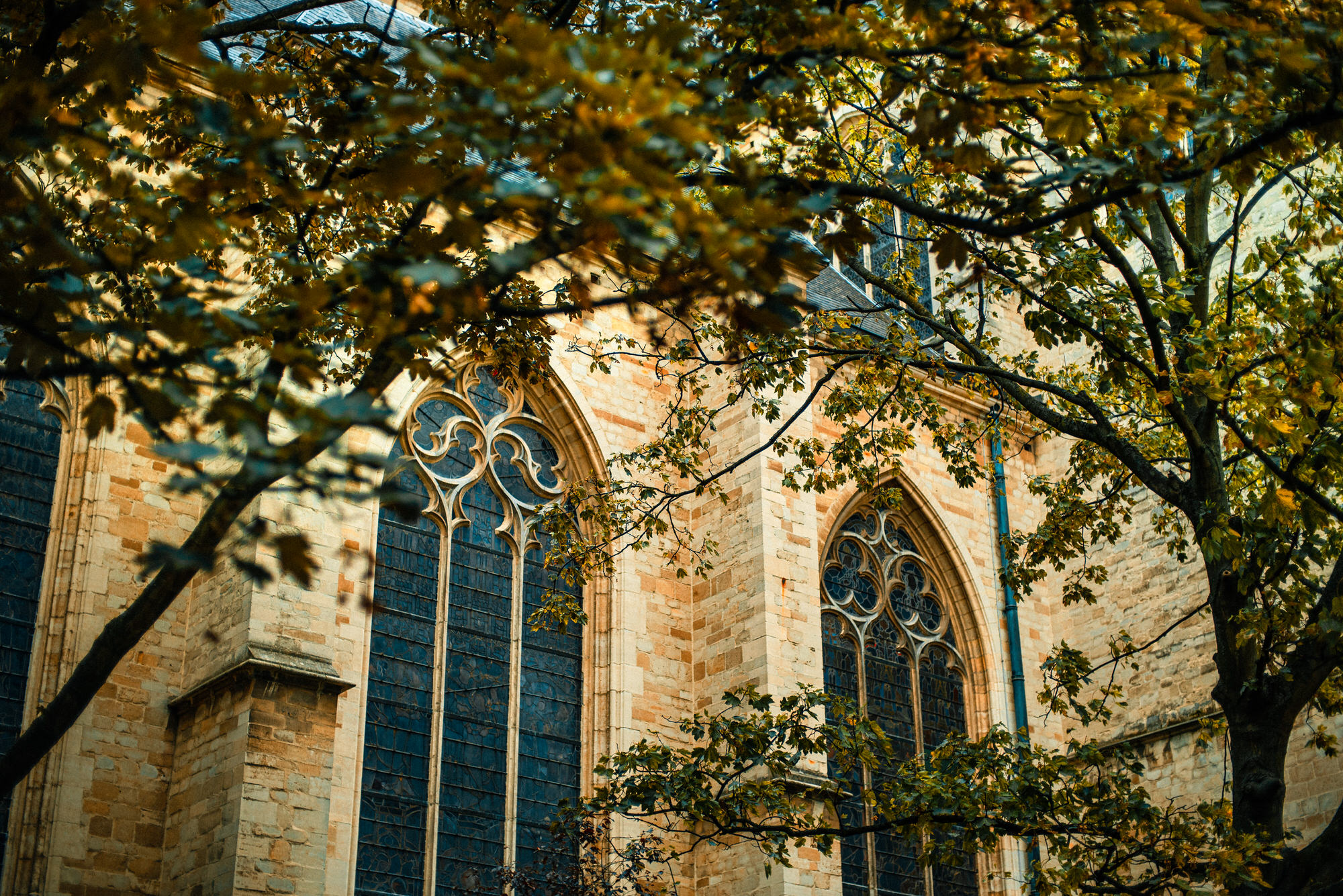 Ėglise Saint-André