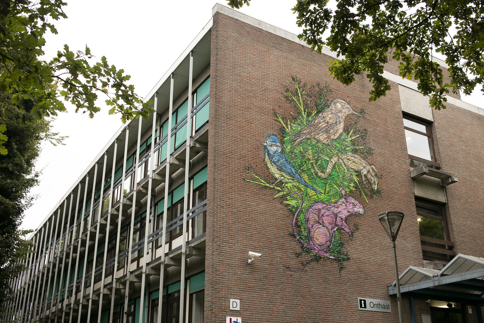 Art on campus: Drie Eiken