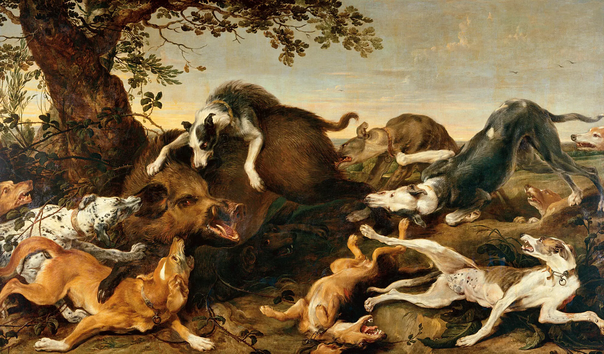 Das Tierreich von Nicholas und Frans – Grundbildung